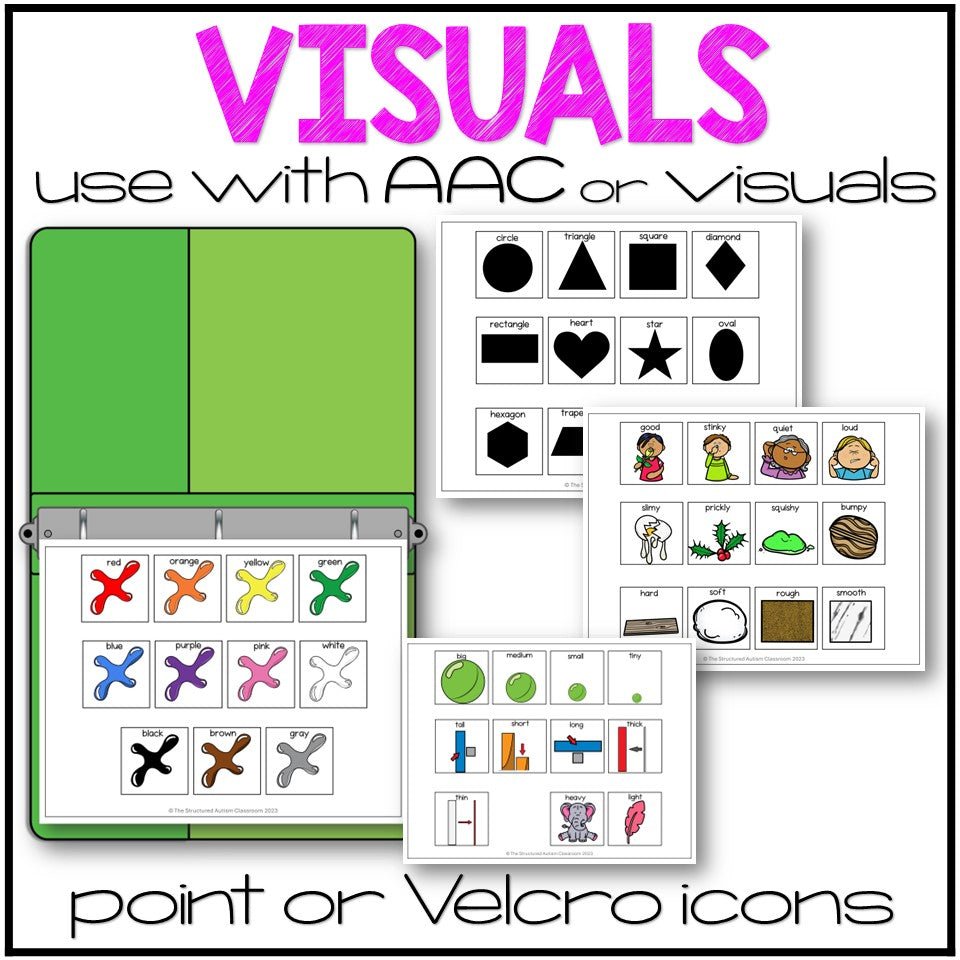 Describing Pictures and Objects Visual Supports & Worksheets for Speech Therapy and SPED Digital PDF